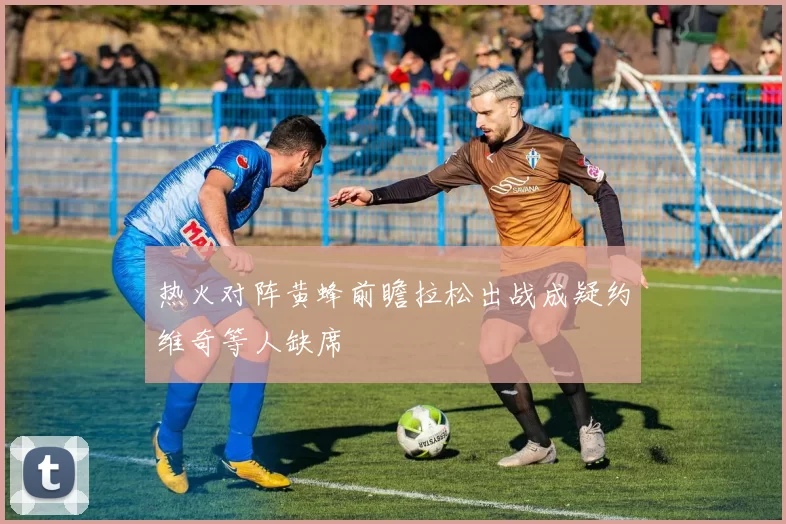 热火对阵黄蜂前瞻拉松出战成疑约维奇等人缺席